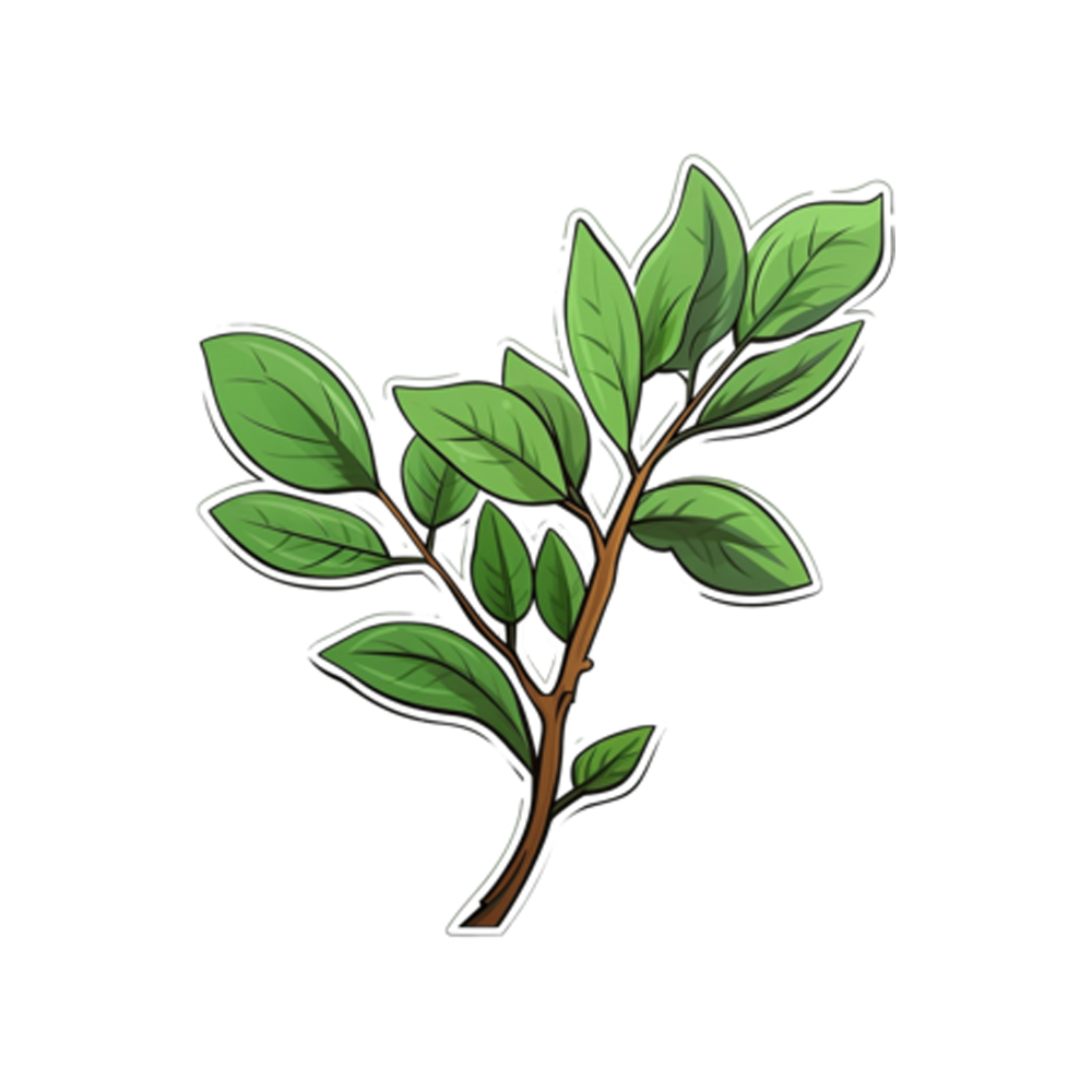 Branch Sticker Transparent Clipart