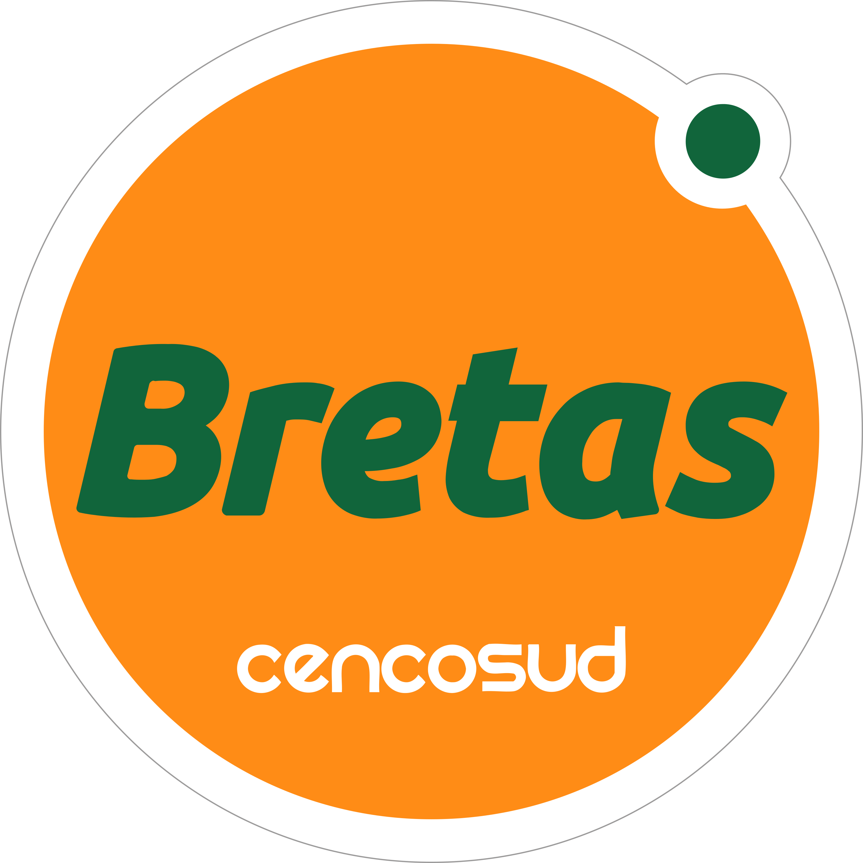 Bretas Logo Transparent Image