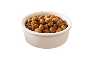 Brown Dog Foods PNG