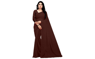 Brown Saree PNG