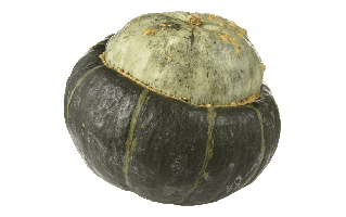 Buttercup Squash PNG
