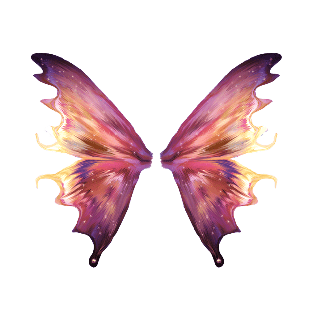 Butterfly Wings Transparent Gallery
