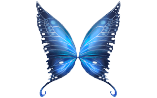 Butterfly Wings PNG