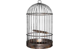 Cage PNG