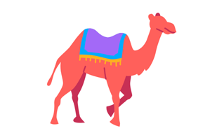 Camels Sticker PNG
