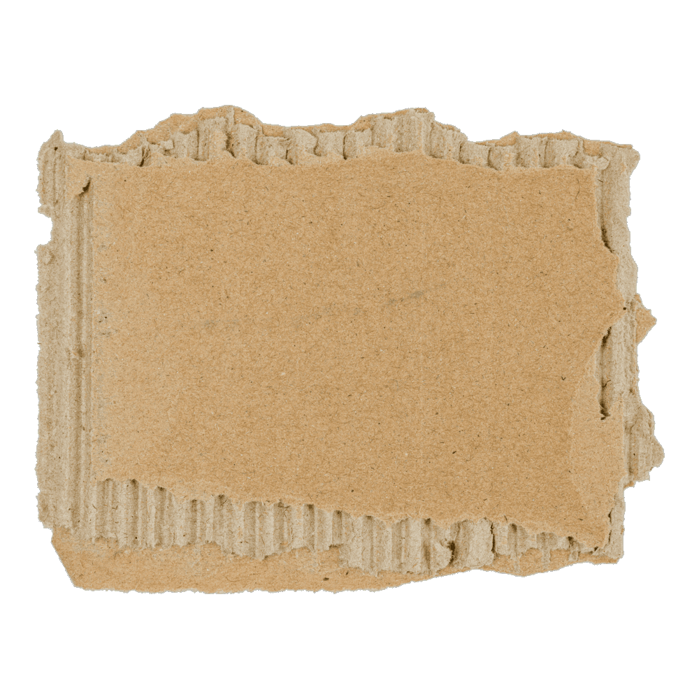 Cardboard Transparent Photo