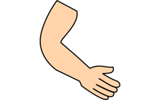 Cartoon Arms PNG
