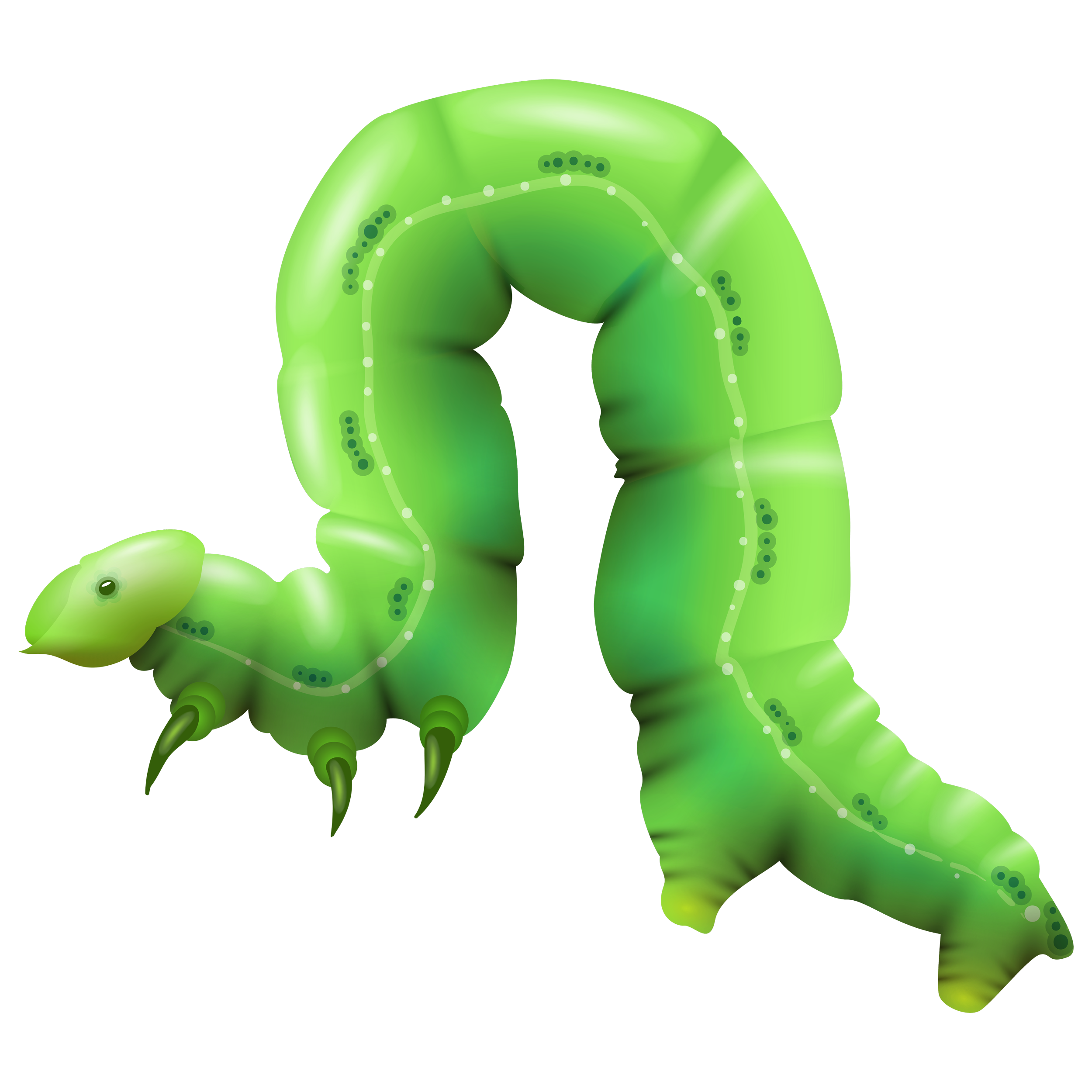 Caterpillar Transparent Image