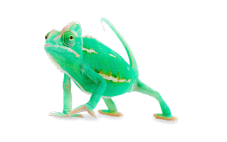 Chameleon PNG