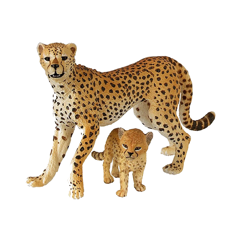 Cheetah Transparent Picture