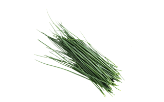 Chives PNG