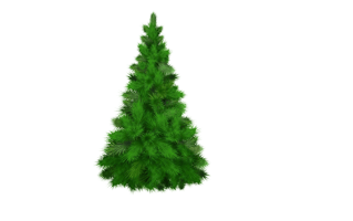 Christmas Pine PNG