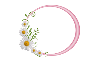 Circle Frame PNG