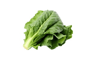 Collard Greens PNG