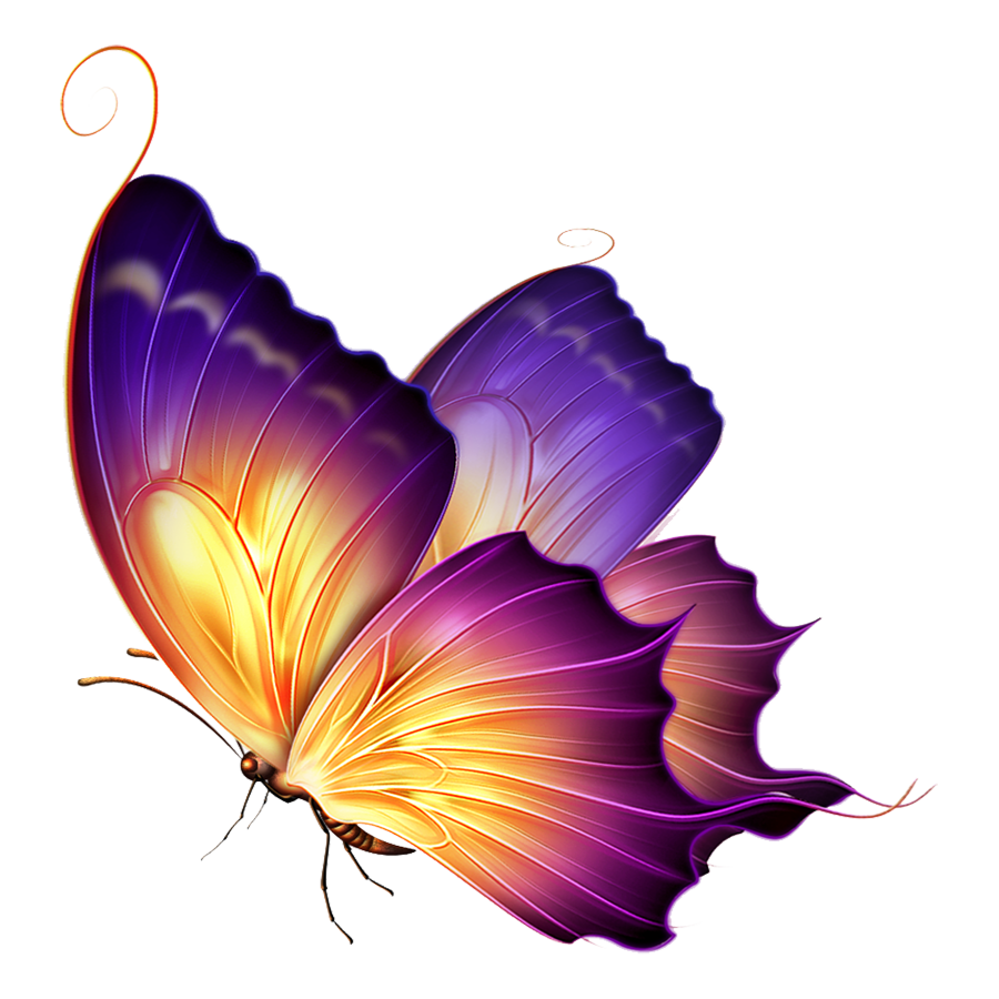 Colorful Butterfly Transparent Image