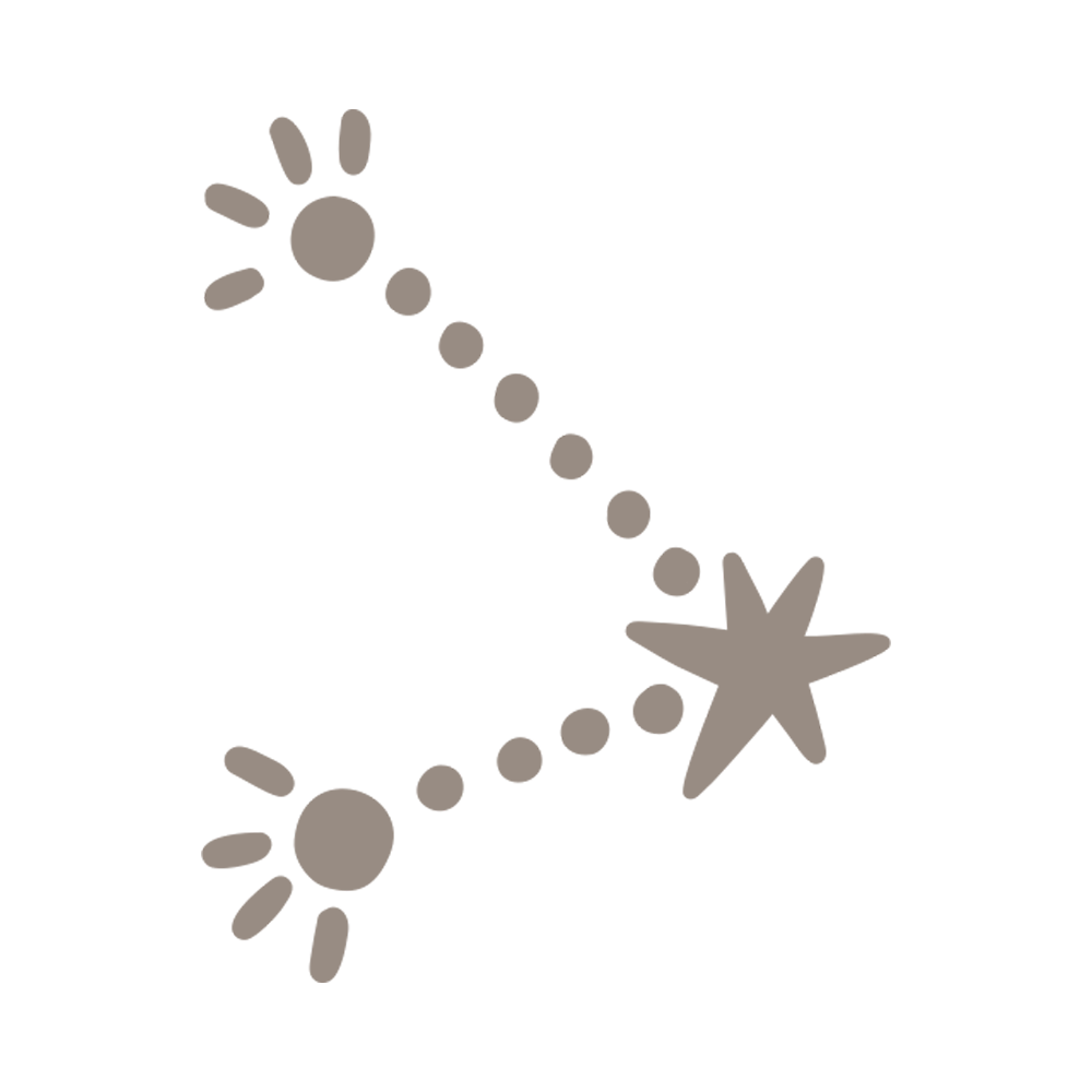 Constellation Sticker Transparent Picture