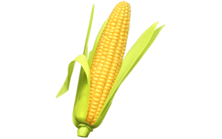 Corn PNG