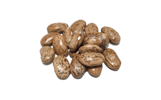 Cranberry Beans PNG