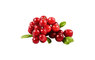 Cranberry PNG