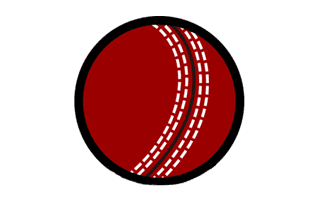 Cricket Ball
