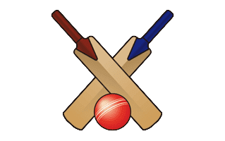 Cricket Bat
