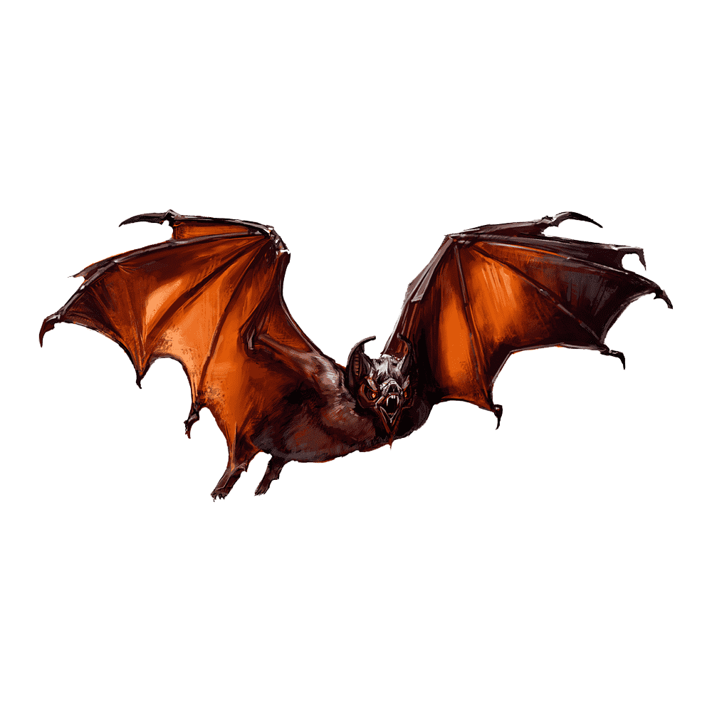 Crowned Flying Fox Transparent Picture