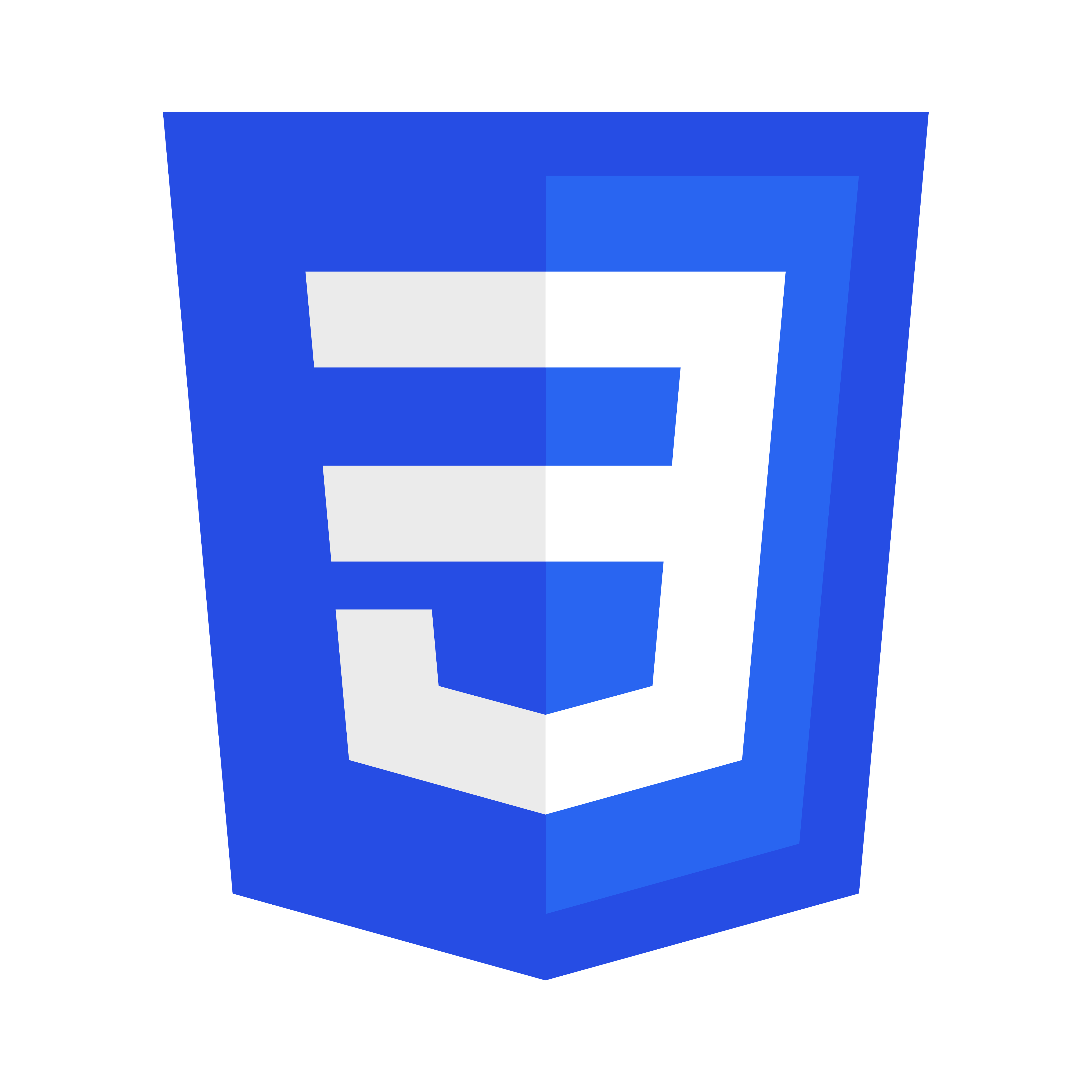 CSS Logo Transparent Photo