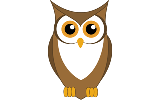 Cute Owl PNG