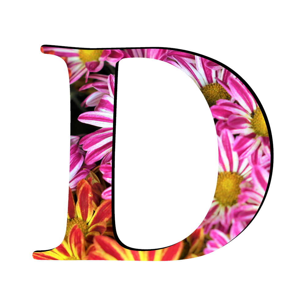 D Alphabet Transparent Clipart