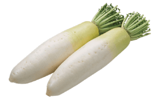 Daikon Radish PNG