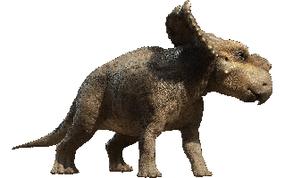 Dino PNG