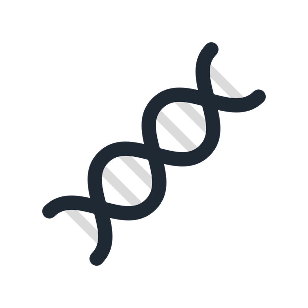 Dna Structure Sticker Transparent Image