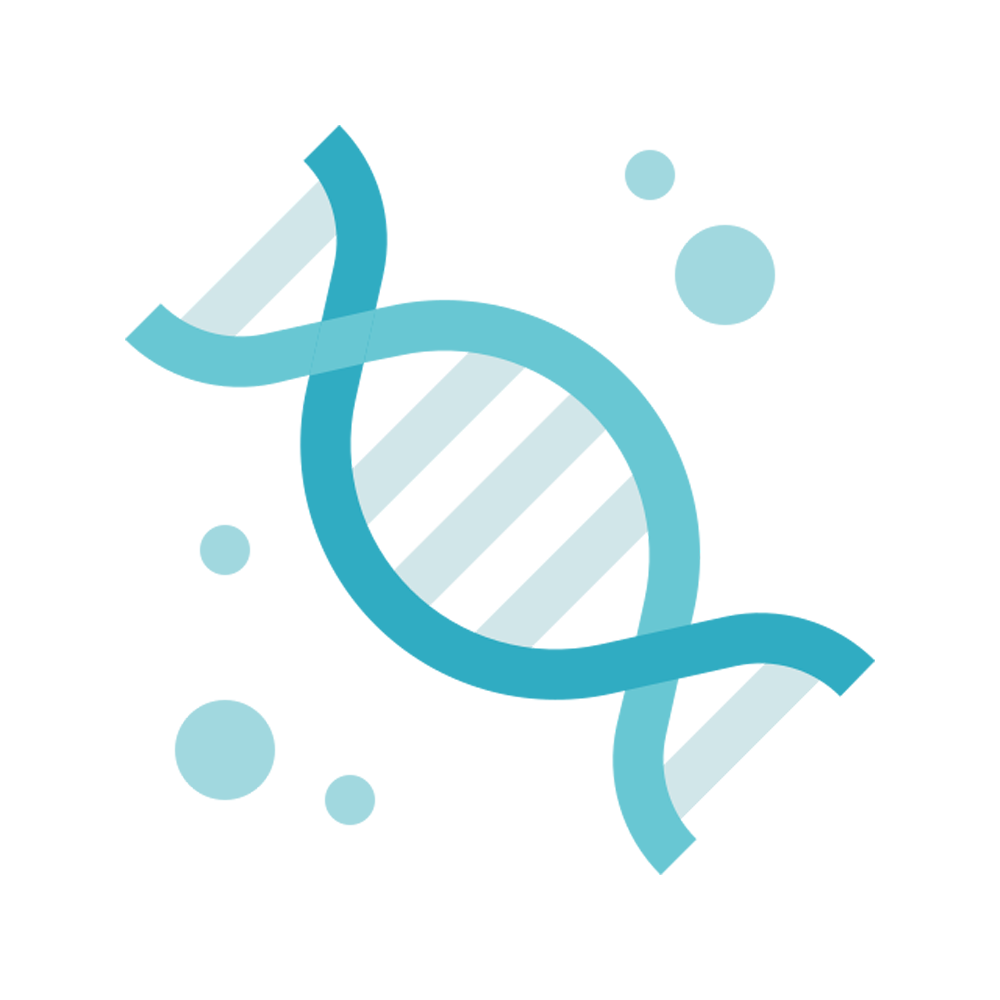 Dna Structure Sticker Transparent Photo