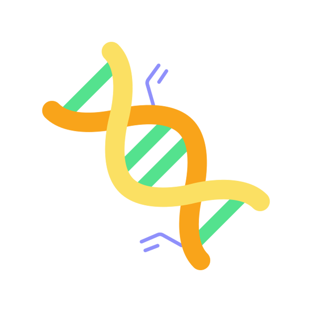 Dna Structure Sticker Transparent Picture
