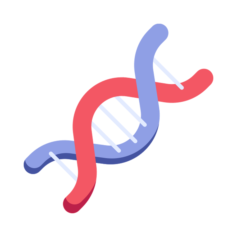 Dna Structure Sticker Transparent Clipart