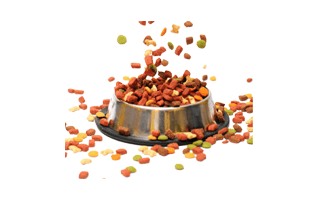 Dog Food PNG