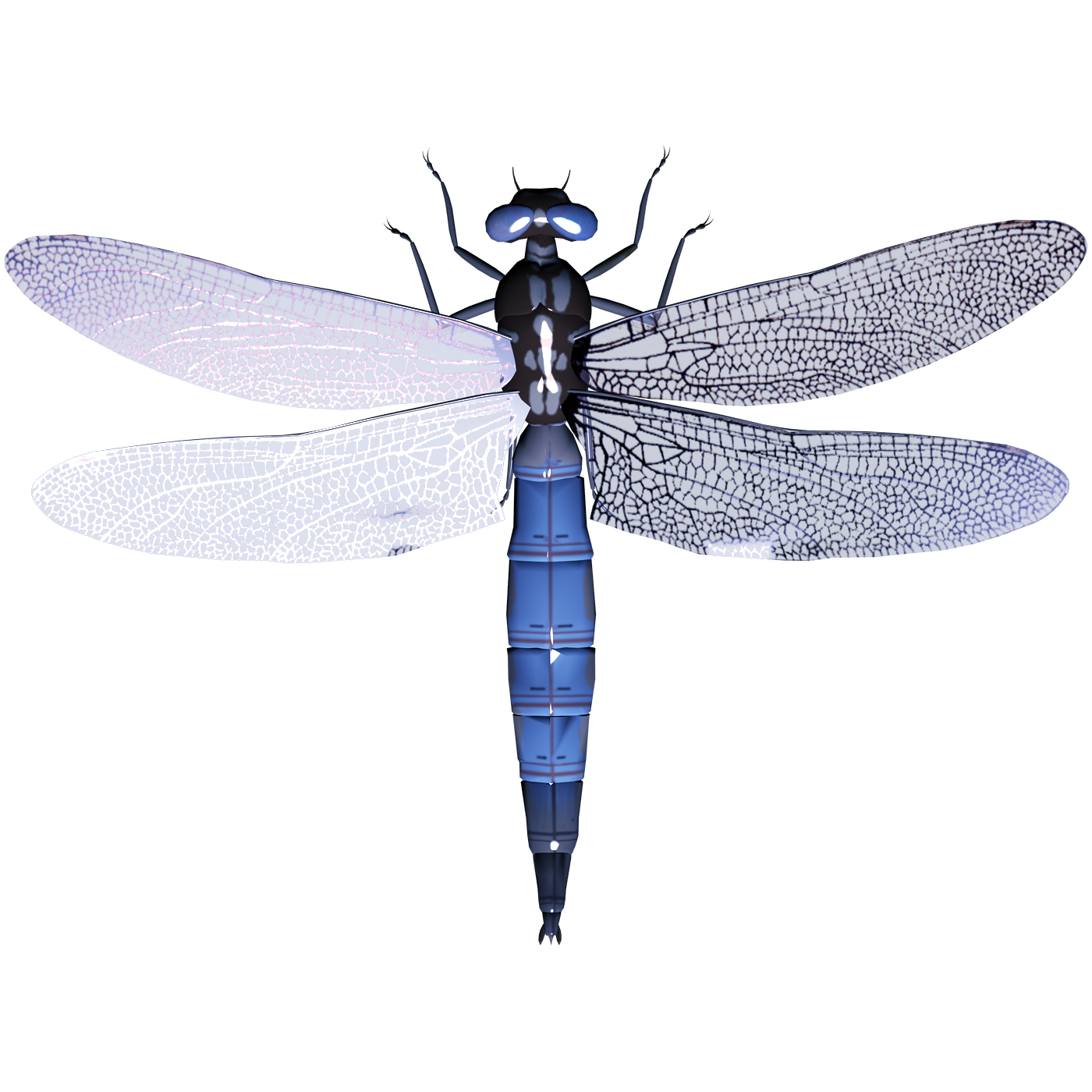 Dragonfly Transparent Image