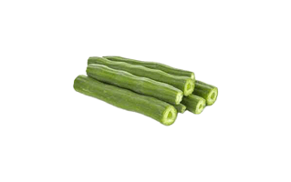 Drumstick PNG
