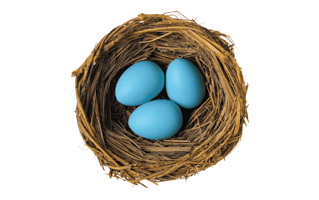 Egg In Next PNG