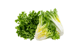 Escarole PNG