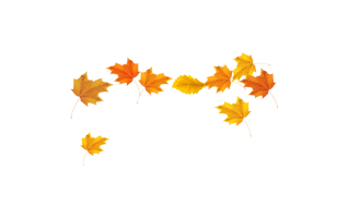 Falling Leaves PNG