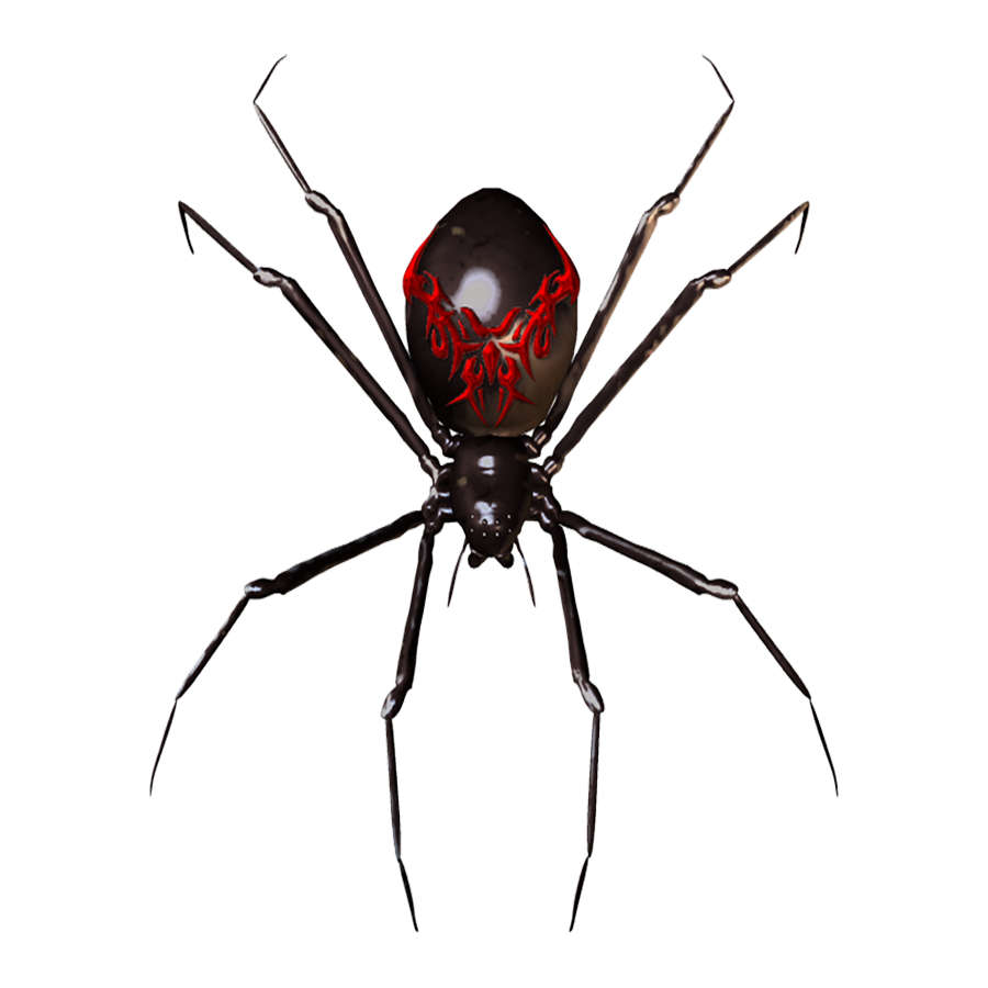 False Widow Spider Transparent Clipart