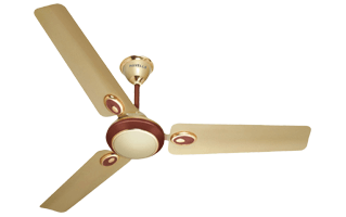 Fan PNG