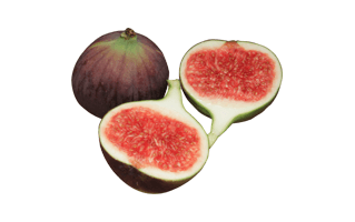 Fig PNG