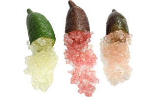 Finger Lime PNG