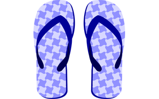 Flip Flop PNG