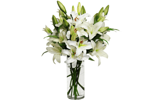 Flower Arranging PNG