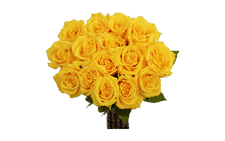 Flower PNG
