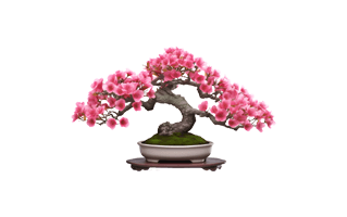Flowering Bonsai Trees PNG