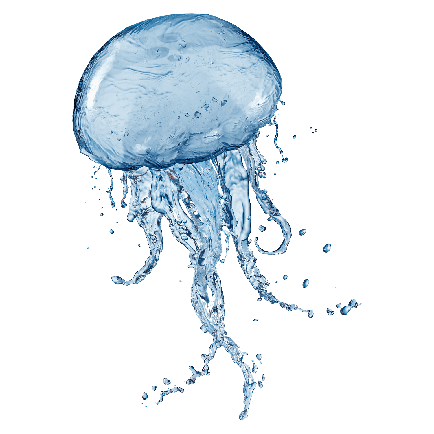 Freshwater Jellyfish Transparent Photo